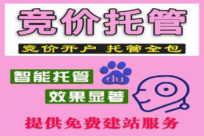 SEM推广实战案例：关键词优化与广告投放技巧